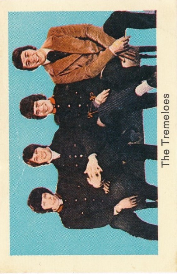 Tremeloes 1a - kopia